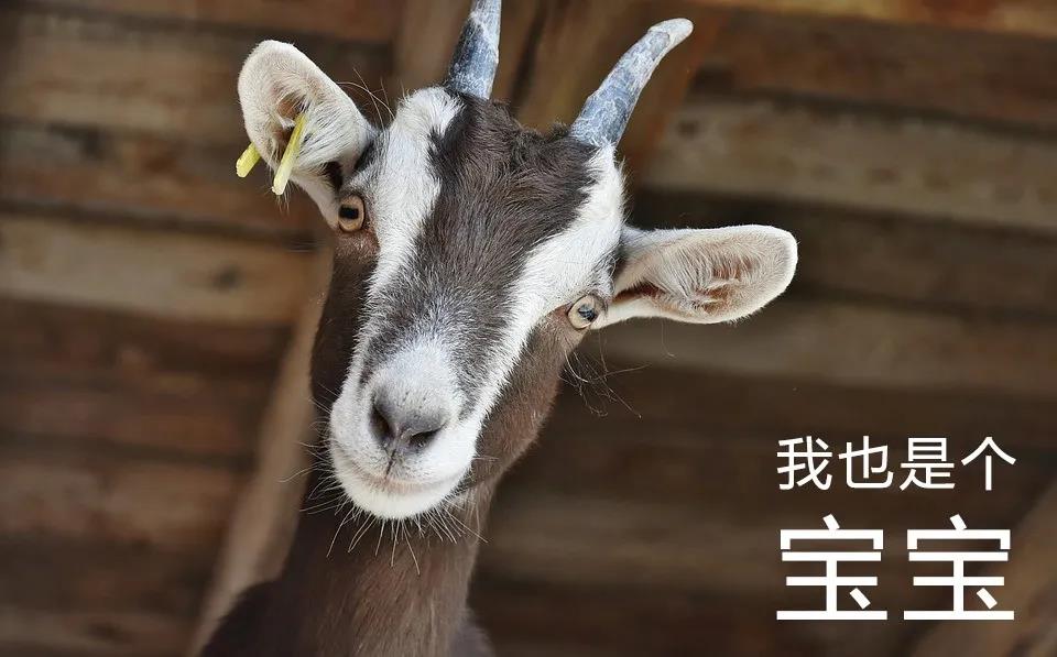 微信图片_20200525094215.jpg