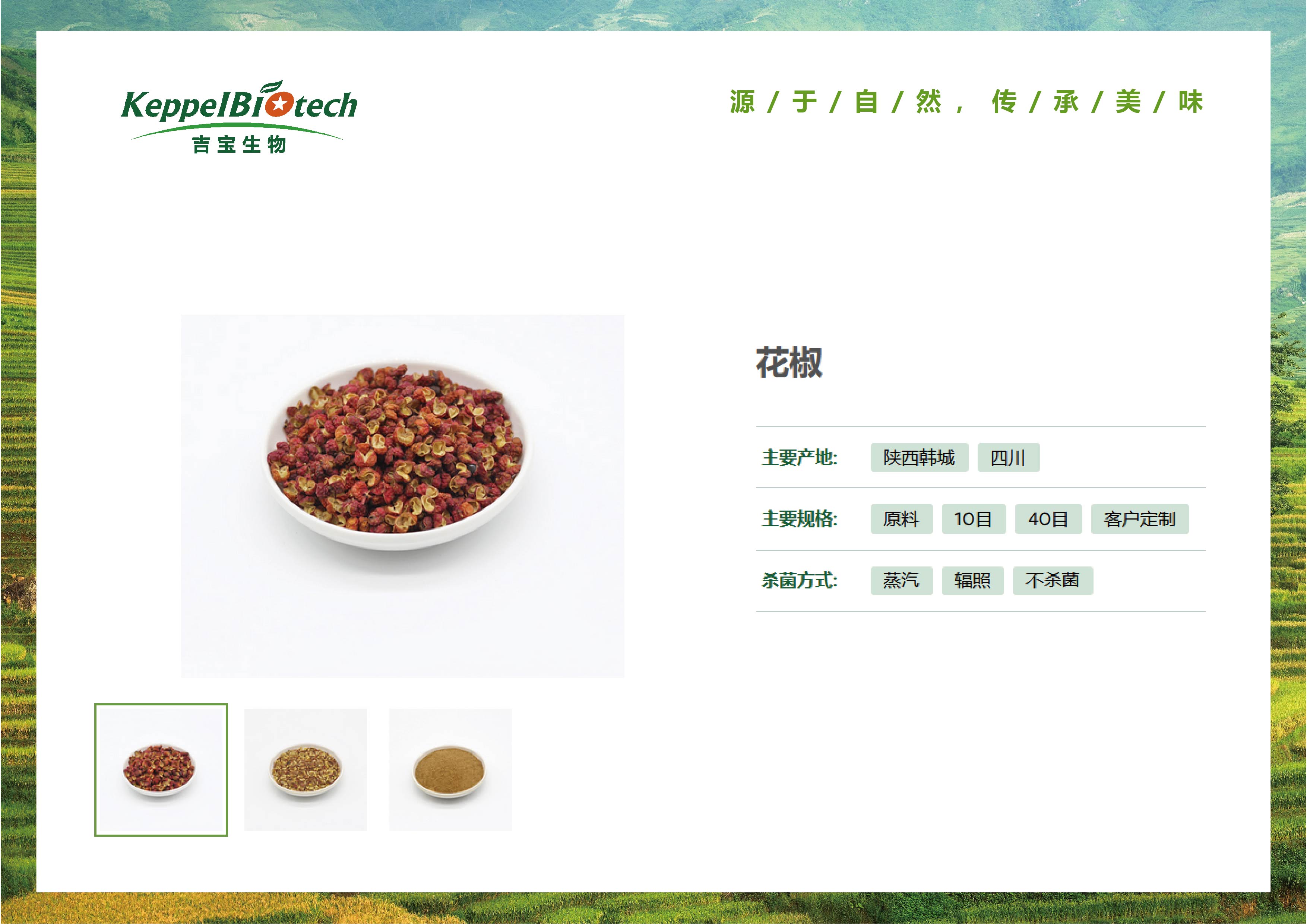 未标题-1-02.jpg